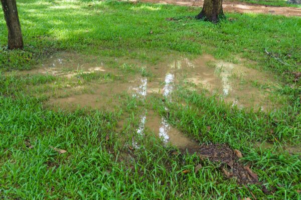 Storm Water Drainage Service in Midlothian