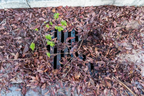 Yard Drain Unclogging in Midlothian