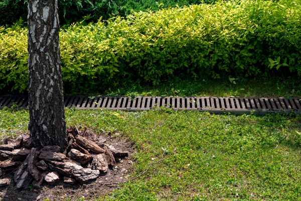 Wet Yard Drainage in Midlothian