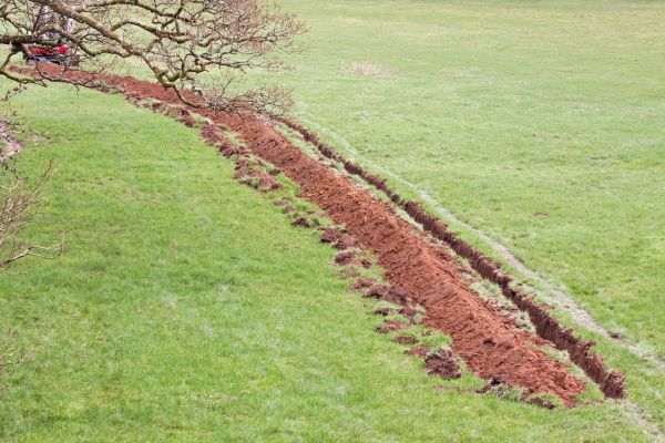 Cost of Swale Installation in Midlothian