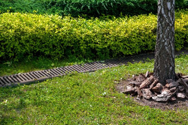 Residential Landscape Drainage in Midlothian