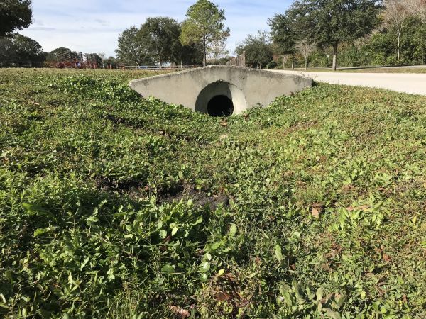Cost of Swale Drainage Service in Midlothian