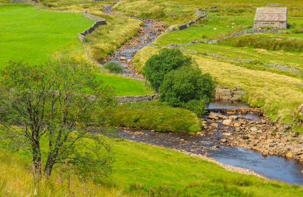 Swale Repair in Midlothian