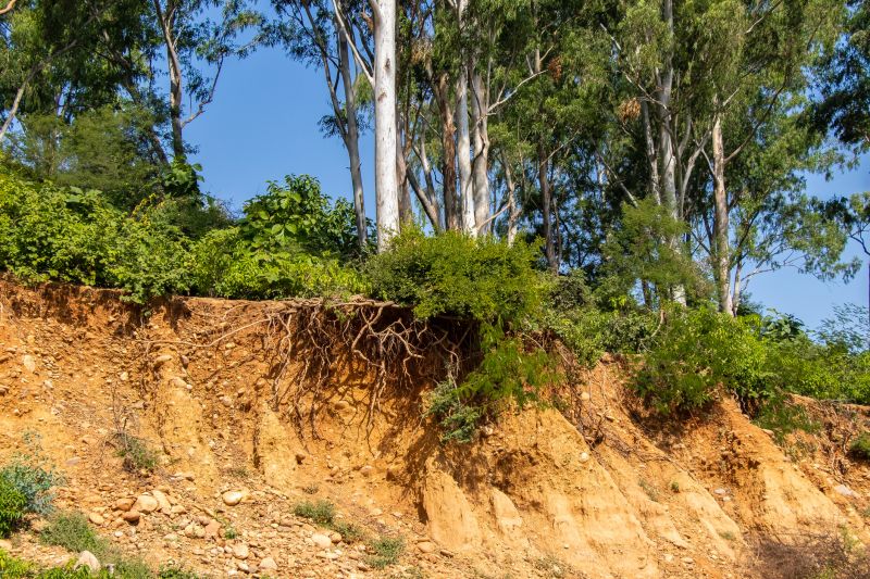 Erosion Control Projects